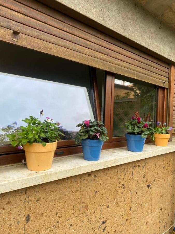 Il Giardinetto Di Elelu' Private Garage Apartment Orvieto Ngoại thất bức ảnh