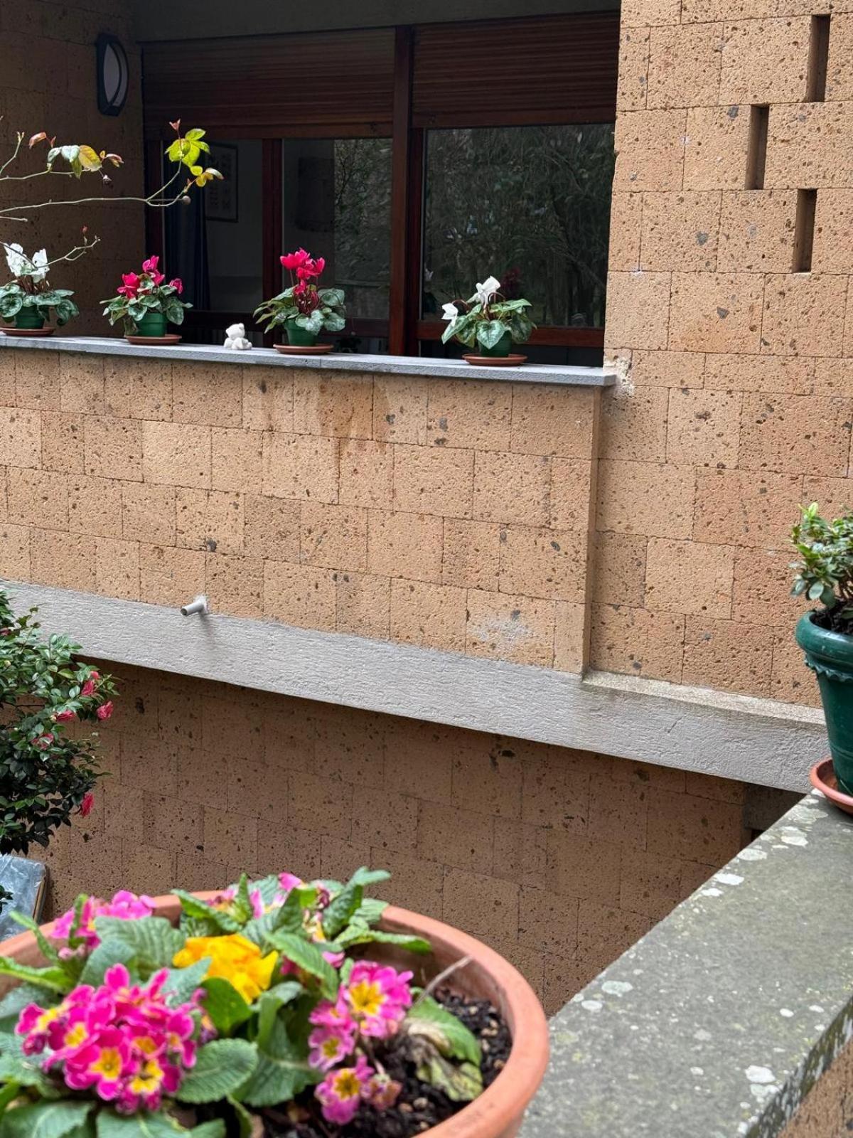 Il Giardinetto Di Elelu' Private Garage Apartment Orvieto Ngoại thất bức ảnh